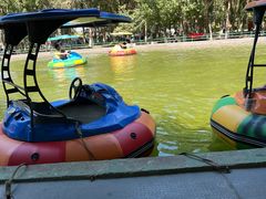 -长白岛森林公园