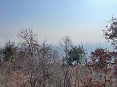 -紫金山山顶公园