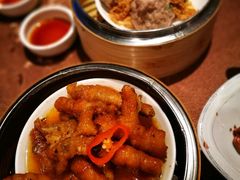 -金燕岛潮州酒楼