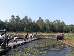 -溱湖国家湿地公园
