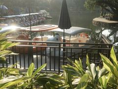 -晓港公园