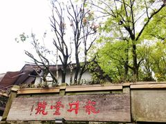 -龙井壹号·茶缘山景宴(龙井村店)