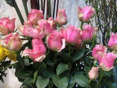 -花草间花行(法华镇路店)