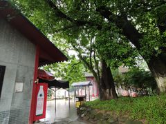 -国恩寺