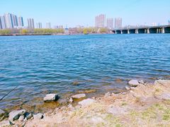 -长白岛森林公园