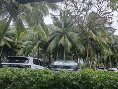 -中国（海南）南海博物馆