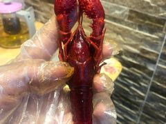 -聚汇三少·龙虾·中餐厅(莫邪路新天地店)
