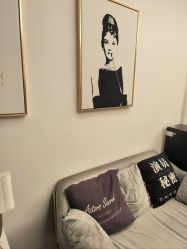 -演员的秘密·皮肤管理