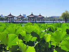 -长春市南湖公园