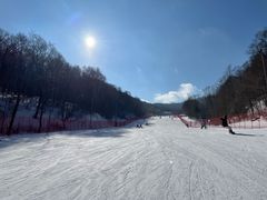 -亚布力新体委滑雪场