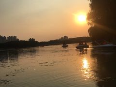 -昆山城市生态森林公园