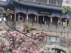 -龟山风景区-龟山电视塔