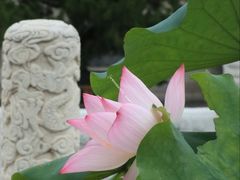 -北京市劳动人民文化宫(太庙)