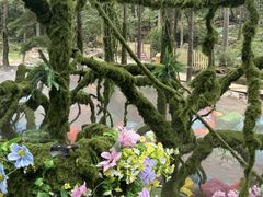 -洛阳白云山景区