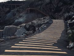 -广东惠东海龟国家级自然保护区