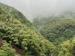 -四明山国家森林公园