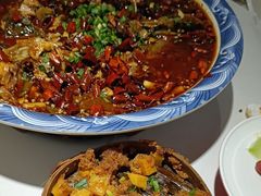 -新概念来凤鱼(璧山店)