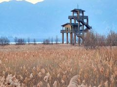 -野鸭湖国家湿地公园