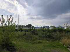 -乌山风景区