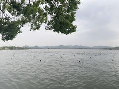 -西湖游船