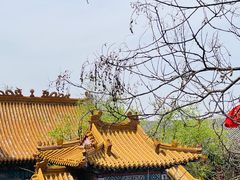 -千佛山风景名胜区
