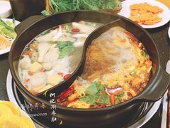 -明何记涮牛肚(品牌首店隋唐植物园南门古城路店)