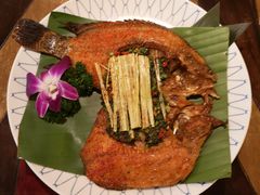 -紫滇源云南生态菜(丹凤街店)