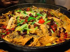 -老板恋上鱼(印象城店)