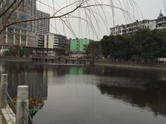 -孺子亭公园