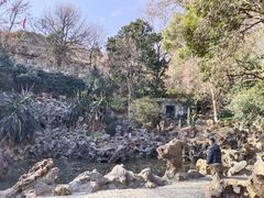 -伯先公园