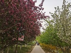 -元大都城垣遗址公园