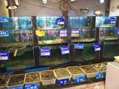 -粥全粥到海鲜家常菜(瞿塘峡路店)