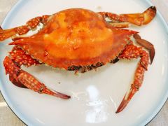 渤海湾圆脐满黄螃蟹-金沙滩海鲜餐厅·海肠捞饭·手工水饺(梅江龙水园店)