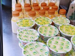 -德禄酸奶(莫家街店)