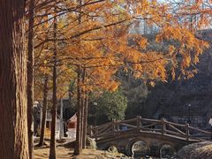 -白水寺森林公园