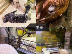 -正佳雨林生态植物园