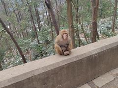 -黔灵山公园