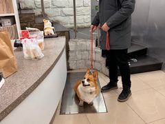 -爱侣宠医·鹦鹉专科·小型哺乳类·异宠专科(灵石路店)