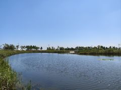 -鹦鹉洲湿地公园