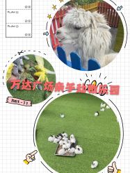 -萌宠亲子动物乐园(槐房万达店)