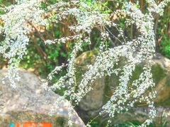 -中国茶叶博物馆(双峰馆区)