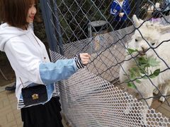 -长白岛森林公园