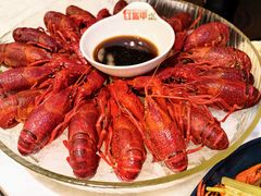 经典冰镇龙虾-红盔甲·小龙虾(天钥桥店)