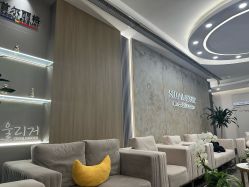 -上海首尔丽格医疗美容医院