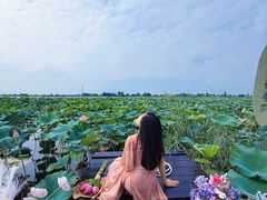 -白洋淀景区
