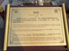 -清西陵