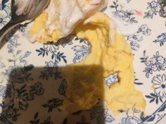 -半秋山西餐厅(宜昌大洋店)