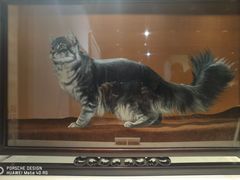 -浙江省博物馆(孤山馆区)
