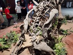 -自贡恐龙博物馆