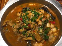 -老号尤兔头(幸福店)